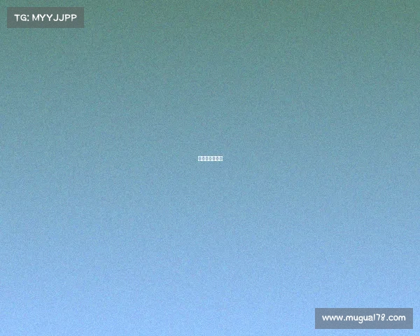 新加坡武术比赛